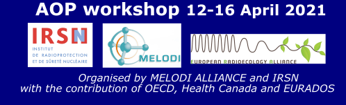 Melodi Alliance AOP workshop